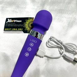 chay rung 2 dau pin sac