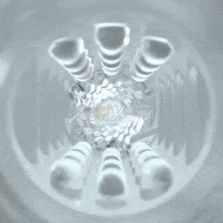 chim gia silicon trong suot