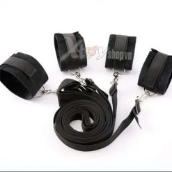 cho ban do choi dbsm 1