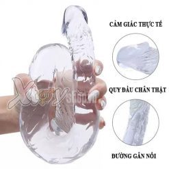 duong vat gia hai trong suot cho les