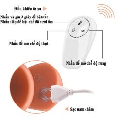 duong vat gia gan tuong da nang co dieu khien tu xa