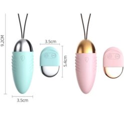 kich thuoc trung rung dieu kien remote nho gon