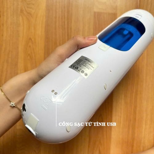 am dao gia dang coc thiet ke sang trong