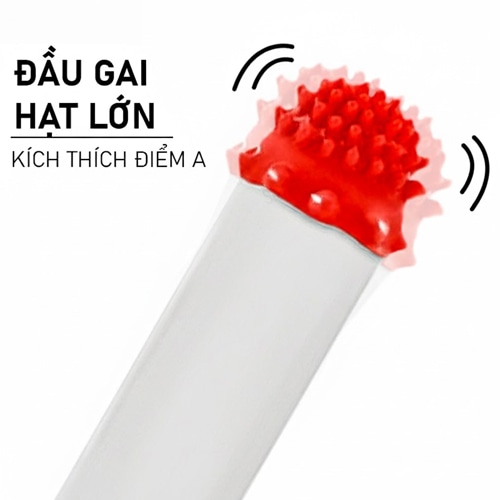 bao 12 con giap pleasure more